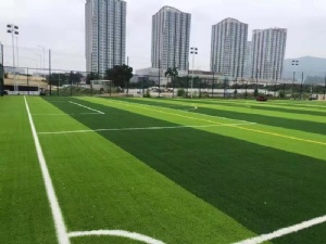 广州市黄埔区大壮国际广场足球场地安装项目