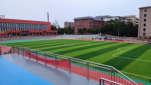 岳阳市第五中学湖南省十四届省运动会比赛场地